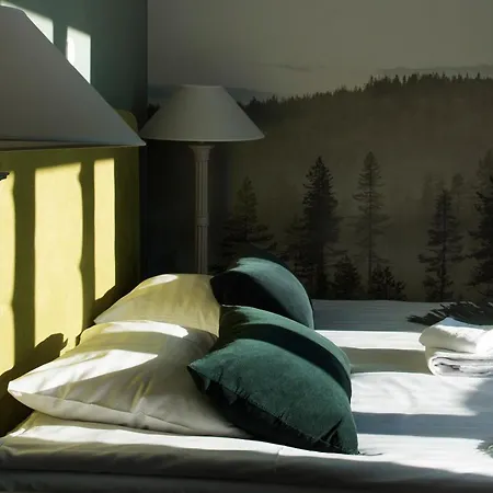 Boutique Sawohouse 3* Kuopio