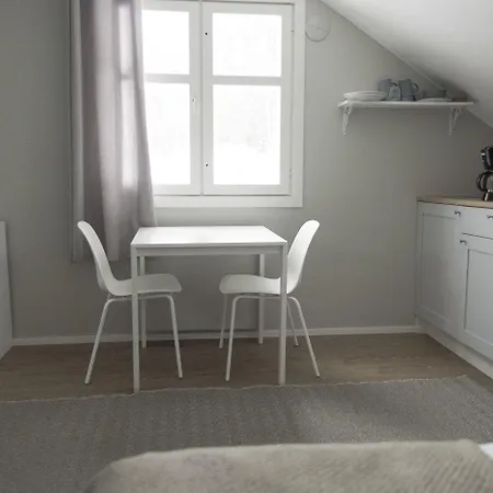 Boutique Sawohouse 3* Куопио